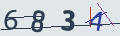 verifycode